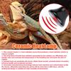 1Pc Mini Conical Reptile Ceramic Heating Lamp 220-240V Infrared Snake Lizard Turtle Shell Heat Emitter Light Bulb 25/50/75/100W