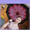 Accesorii – Umbrele