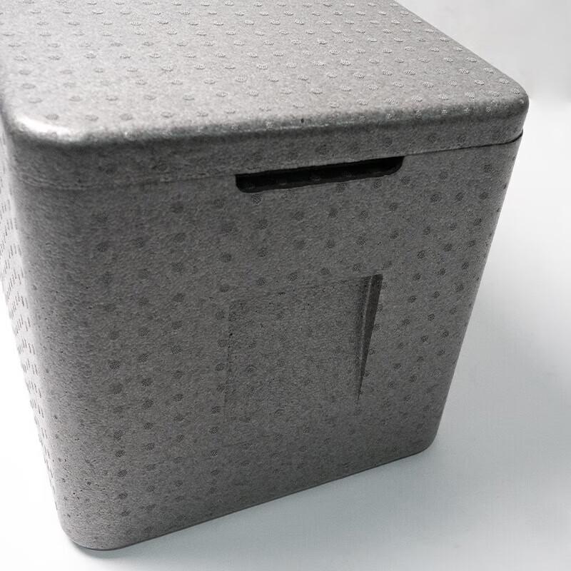 EPP Foam Commercial Food Delivery & Cooler Box