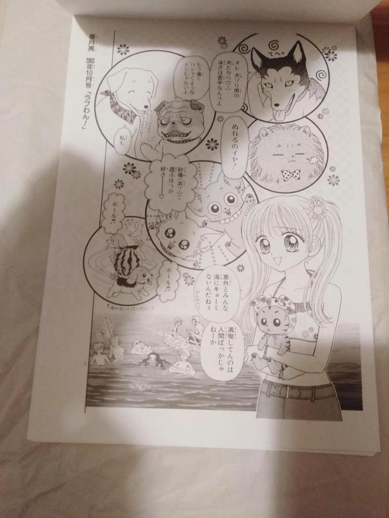 [USED] Illustration Collection Ribbon Manga School Reproduction Collection No.6