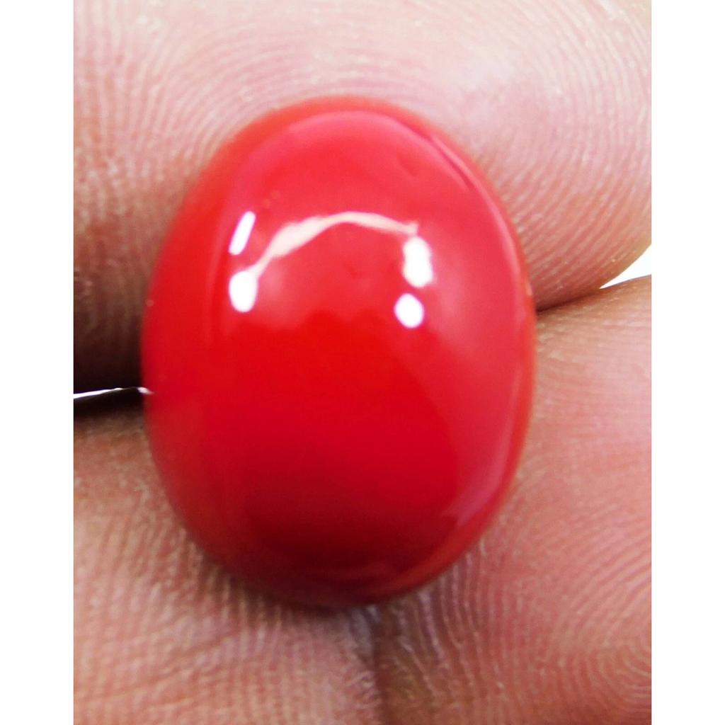AAA+ Natural Red Coral 22.15 CT Oval Cabochon Cut Italian Loose Gemstone