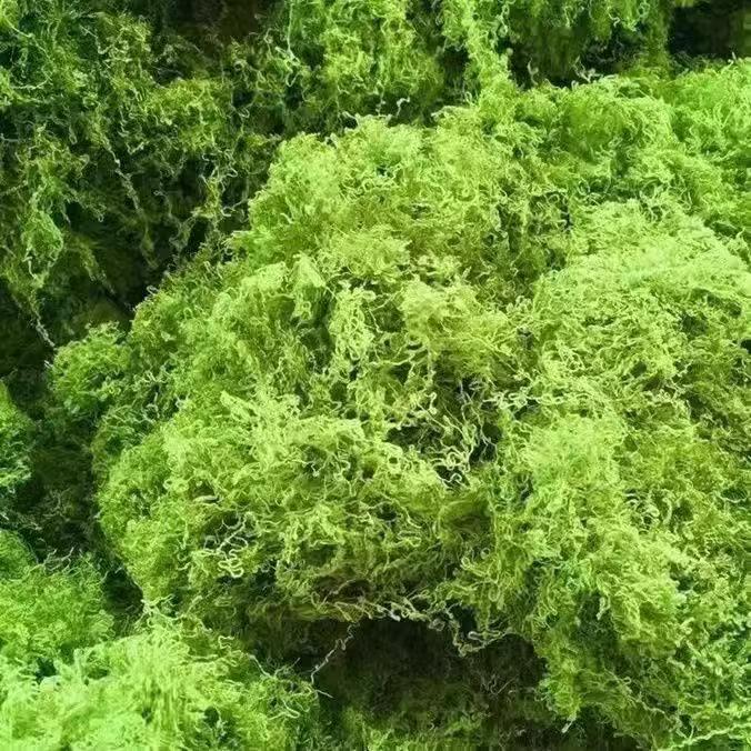 Artificial Moss Silk Grass Lawn for Landscaping and Decoration