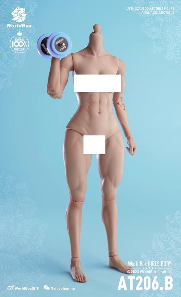 scale action figure Worldbox AT206 Muscle version Tan skin Female body and clothes not [TOYBARJAPAN] 1/6 (head included) (B)