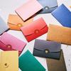 Pearlescent Colored Envelopes: Western-Style with Logo and Hot Stamping for High-End Postcards.