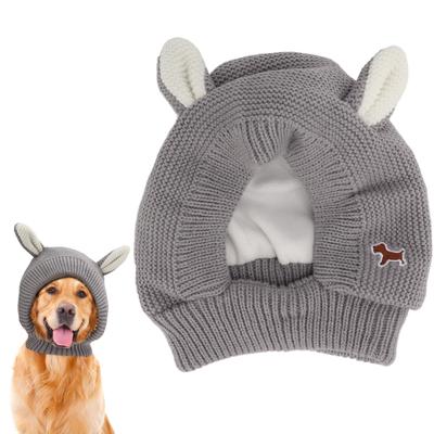 Ropa y calzado – Gorras para perros