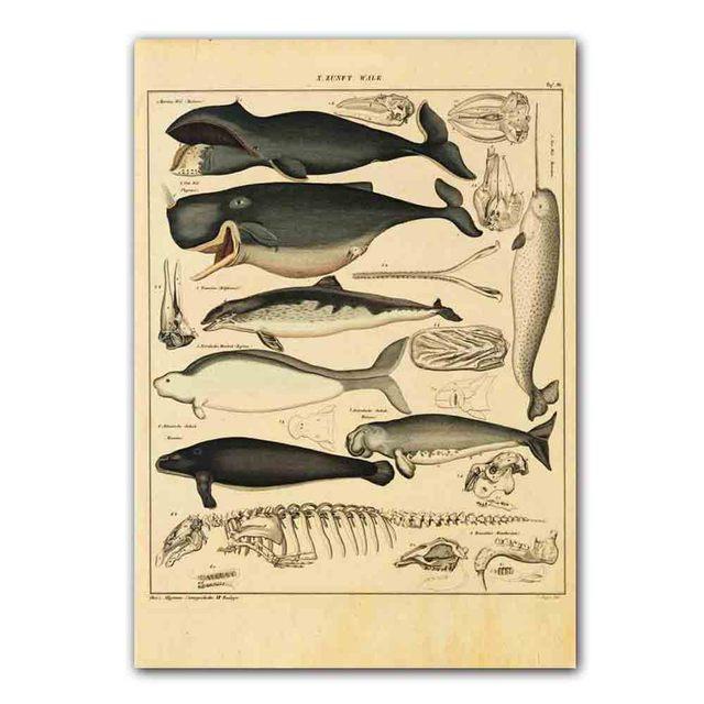 

Nordic RETRO art холст картина постер Marine Bioscience кухня гостиная коридор настенная живопись украшение дома фреска без рамки 21*30cm No Frame