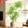 High-End Nandina Domestica Floor-Standing Faux Green Plant for Indoor Decoration