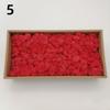 Neue 50/30/10g Künstliche Grüne Pflanzen Ewiges Leben Moos Gras Heim Garten Dekoration Mini Landschaft Künstliche Blume DIY Bastelgeschenke
