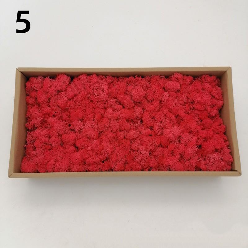 Neue 50/30/10g Künstliche Grüne Pflanzen Ewiges Leben Moos Gras Heim Garten Dekoration Mini Landschaft Künstliche Blume DIY Bastelgeschenke