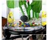 Large Floor-Standing Cylindrical Glass Fish Tank with Thick Transparent Glass for Goldfish, Oxygenation & Desktop Landscaping