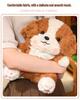 Border Collie Puppy Plush Doll - Cute Comfort Pillow & Birthday Gift for Children