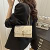 This year's popular small bag women's 2025 summer new trendy fashion shoulder messenger bag Internet celebrity lace straw small square bag
