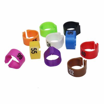 10 kolorów x 100 szt. Plastikowe obrączki na nogi dla ptaków 12 MM 14 MM 10 kolorów Odpowiednie dla różnych ptaków Akcesoria do tresury ptaków NR 1-100