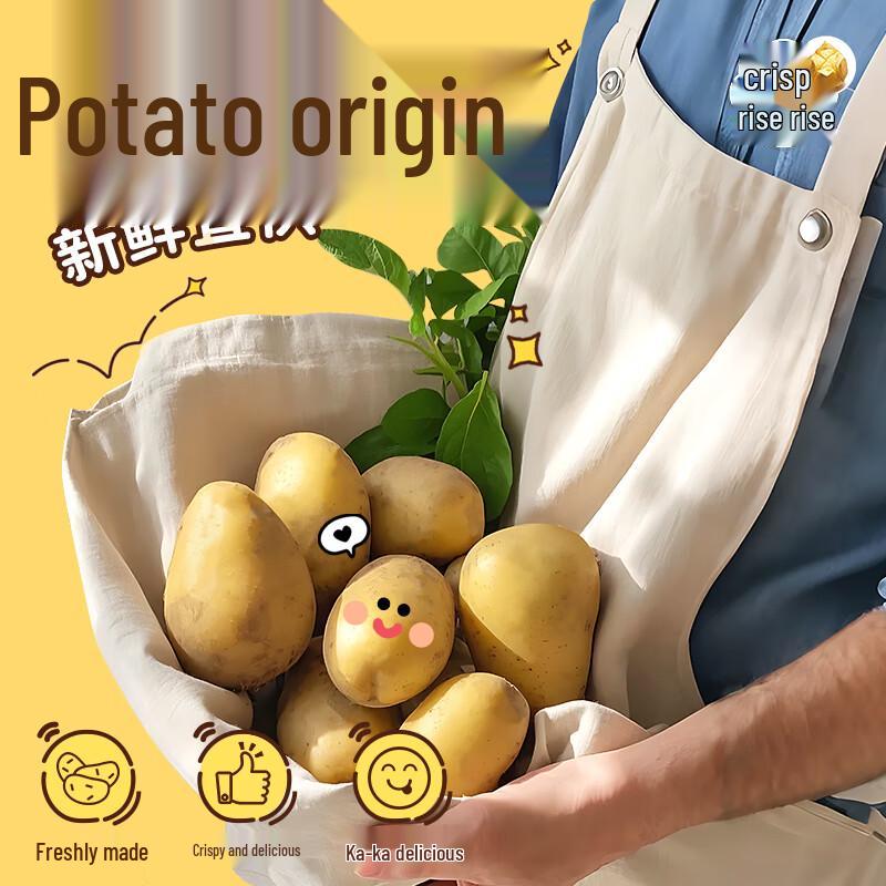 Cui Sheng Sheng Honey Butter & Mixed Flavor Fries