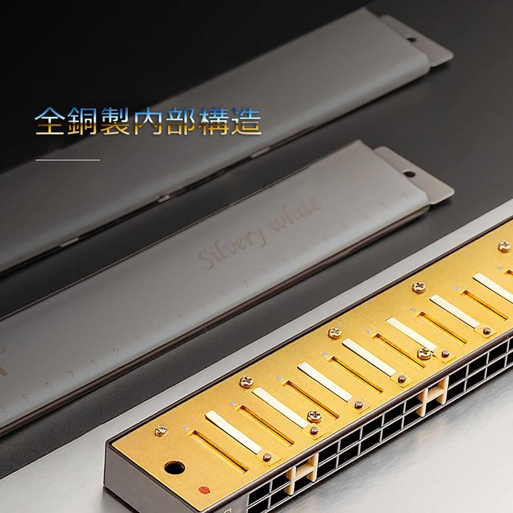 QIMEI Blues 28 Stainless C Set Case for Beginners and Advanced Players 24 Harmonica, 10, 24, Holes, Steel, Key, Airtight, (Gold, Holes)