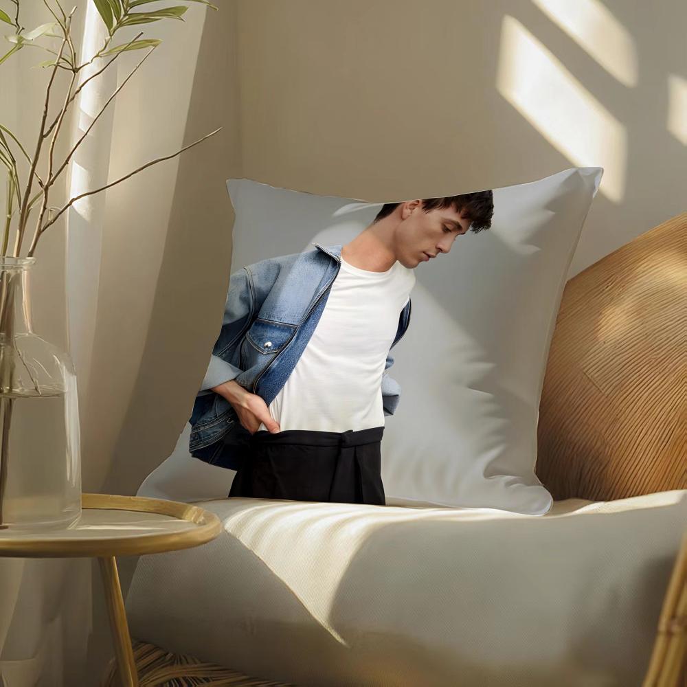 Handsome Online Model J-Jacob Bixenman Pillow Case Pattern Printed Pillowcase For Living Room Sofa Cushion Cover & Bedroom Decor