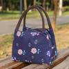 Lunch Bag Portable Large Opening Waterproof Oxford Bento Bag Lightweight Tear-Resistant Work Lunch Carrier for Women Men Hiking Picnic