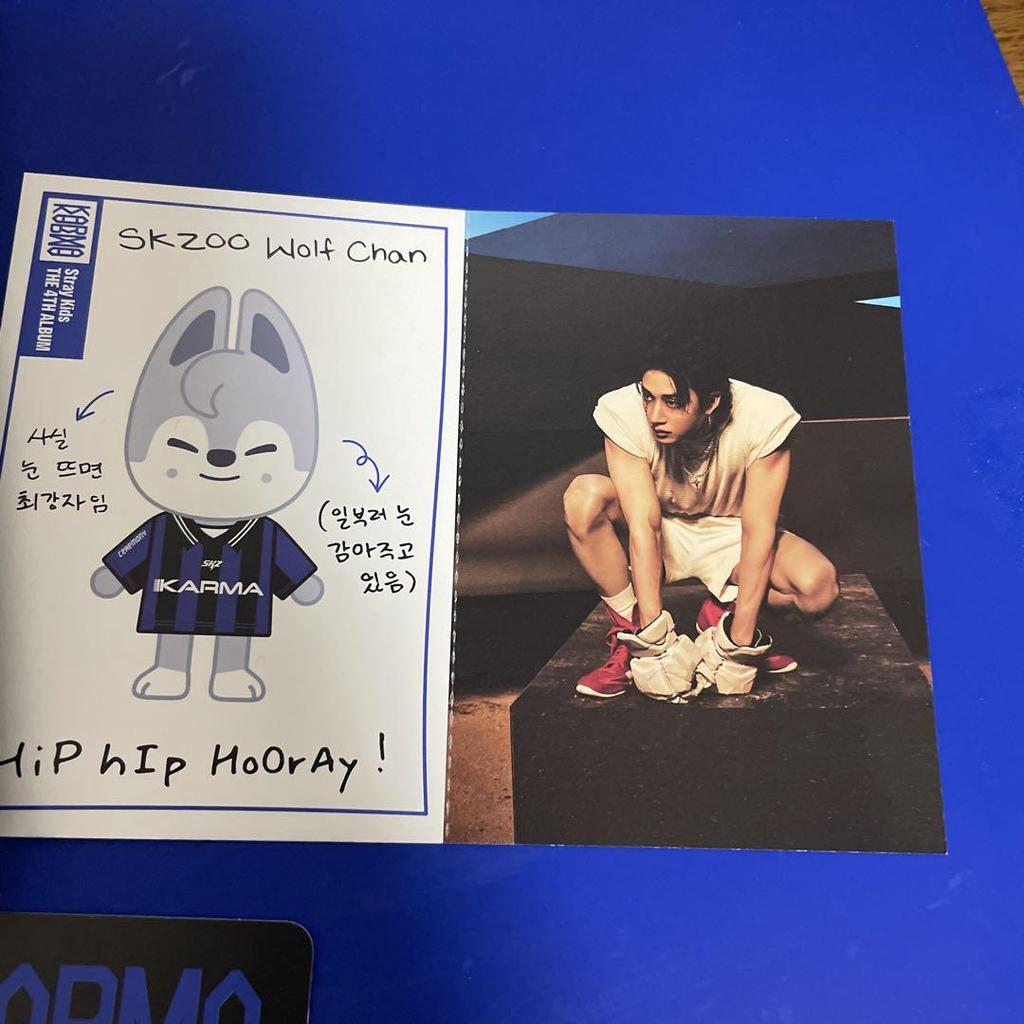 [GEBRAUCHT] StrayKids KARMA SKZOO Bang Chan Wolf Chan Tasche