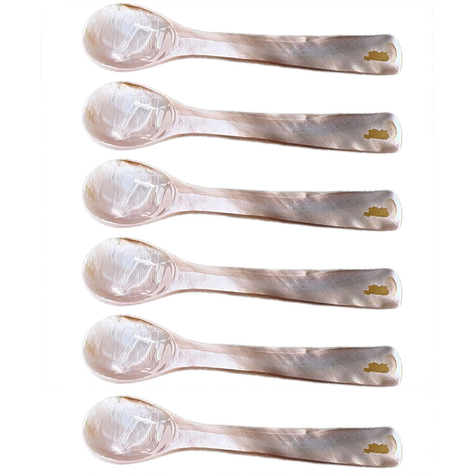 

6 шт. Ложки з натурального перламутру, Ложка для розмішування кави з мушлі, Ложки для розмішування з перламутрових мушель, Чайна ложка Ремесла Десерт Кава
