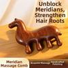 Sandalwood Scalp Point Massage Brush Coarse Tooth Body Meridian Massage Comb  Meridian Therapy