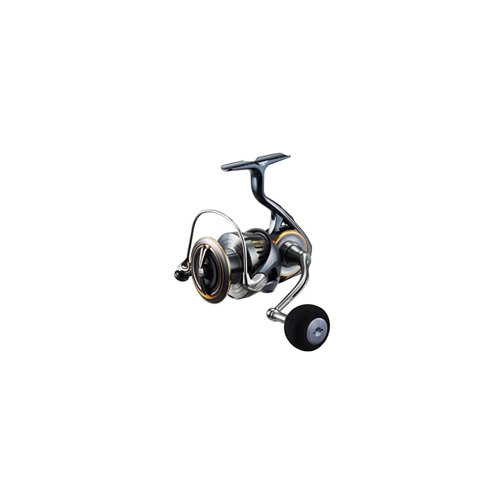 Daiwa Airity LT5000D-CXH Spinning Reel Lightweight High Performance Fishing Gear