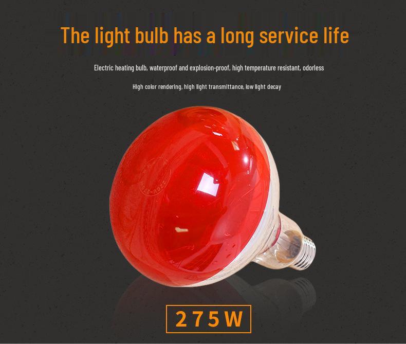 Adjustable Temperature Floor-Standing Heating Lamp for Home and Salon Use