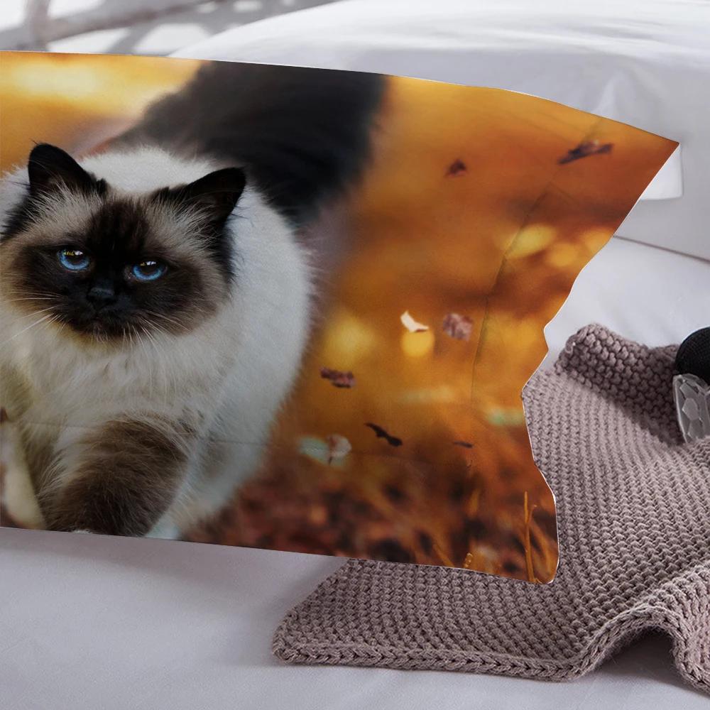 Bed Cover Dropship Winter Soft Comfortable 2/3Pc Kid Bedding Set Western Single Double Bed 3D Cat Duvet Cover Sets Ropa De Cama