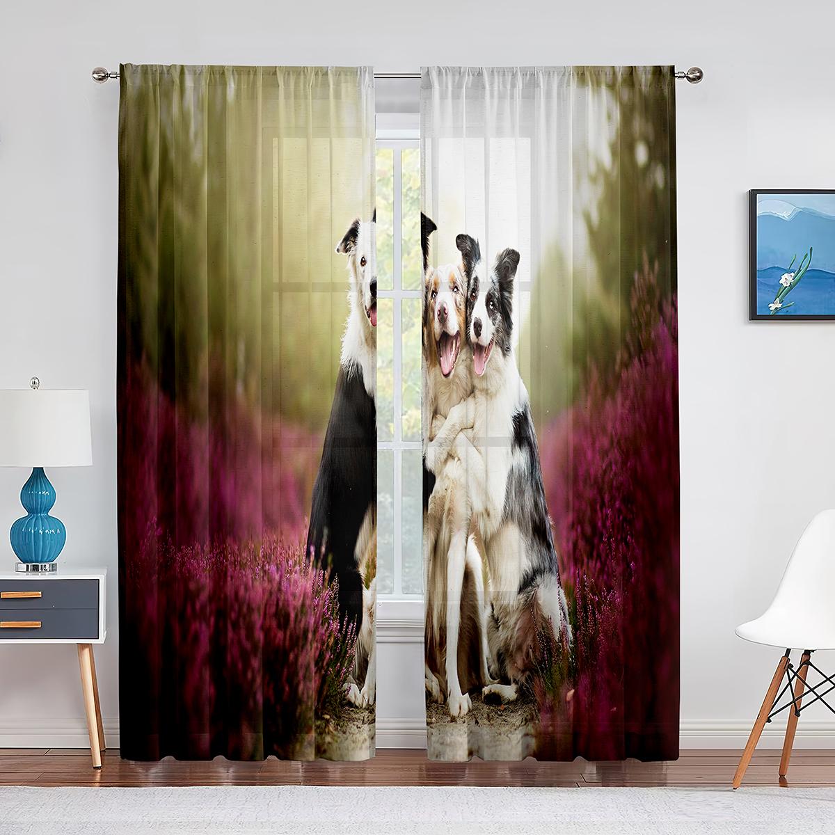 

Тюлевые шторы с изображением собаки, австралийской овчарки, розовыми цветами для декора гостиной, спальни, прозрачные прозрачные занавески из вуали 1 PCS W100XH250cm&Grommet Top