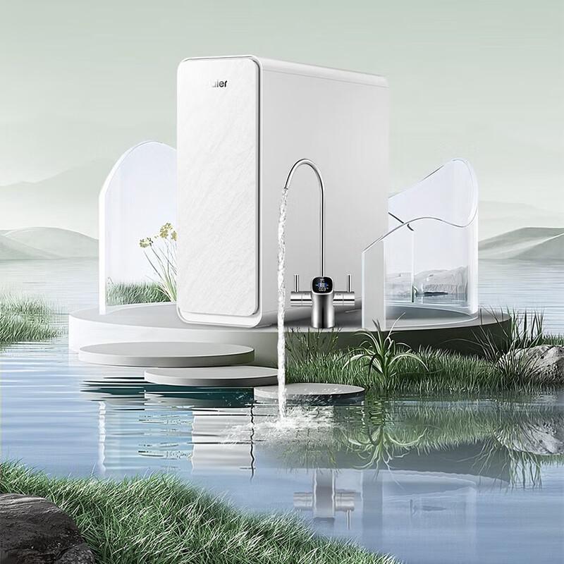 Haier Naturpai Pro 600G RO Under-Sink Water Purifier CN plug (adapter included)