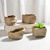 Wear Resistant Succulent Plant Pots Ceramic Plants Growing Container  Home Decoration