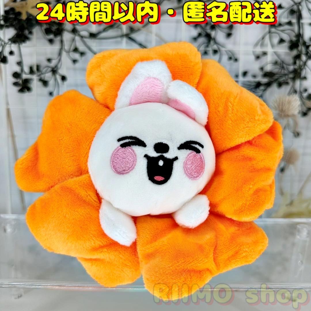 

[Б/У] SKZOO пенал с цветами Lino Lee Know Levit