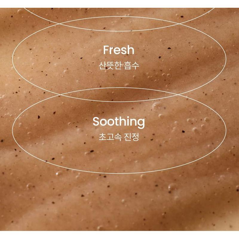 delphyr - Liposome Cleansing Foam