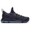 Nike Kd 9 Court Ready 843392-450