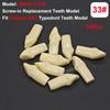 Fit Frasaco AG3 Typodont Dental Teeth Model Full teeth 32Pcs Screw-in Practice Filling Soft Gum Gingivae Teeth Training Teach