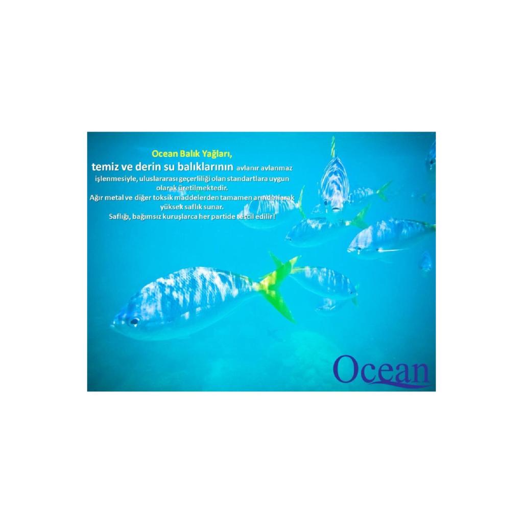 Lemon Flavored 500 Mg 60 Capsules Pure Fish Oil