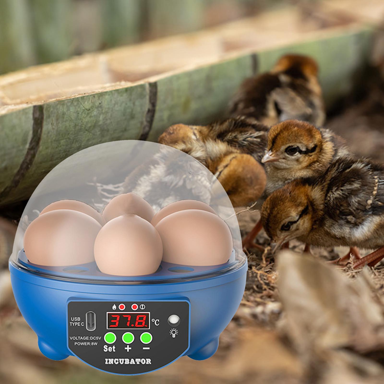 

6 Eggs Incubator Automatic LED Display with Light Egg Hatcher for Duck Goose синий