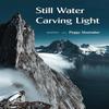 Still Water Carving Light by Peggy Shumaker Paperback Book 9781636281681