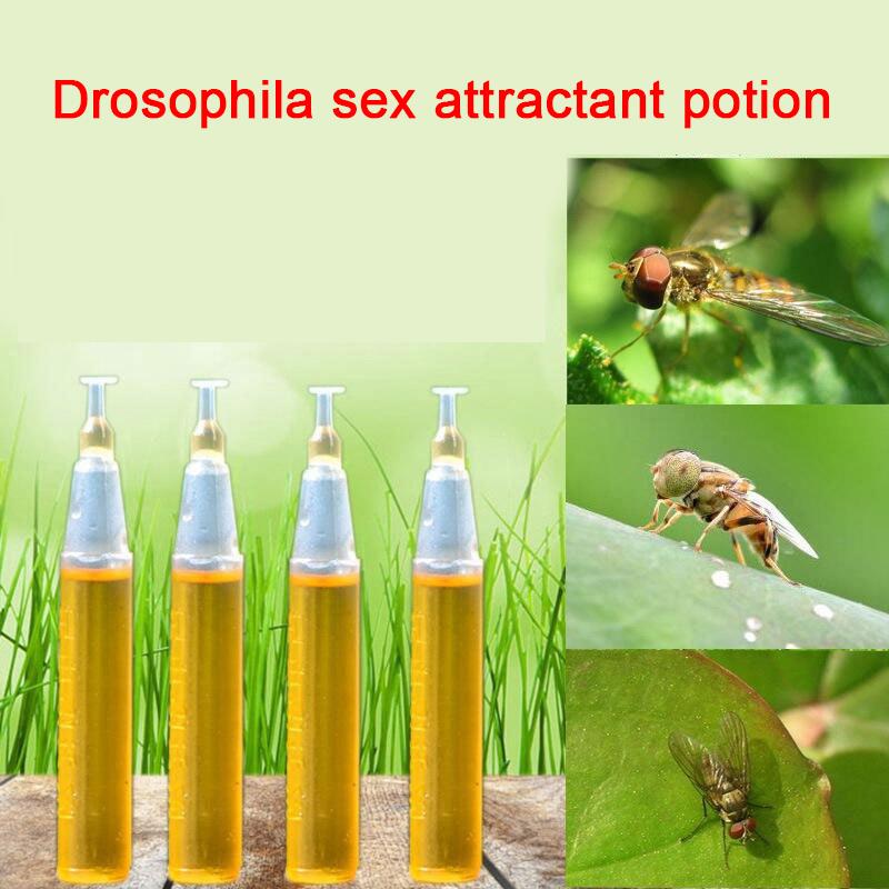 10 pezzi di esca per trappola per mosche della frutta, strumento per apicoltura, repellente per alveari