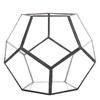 Geometric Shape Glass Flowerpot Succulents Plant Planter Container Decor Landscape Display   Decor