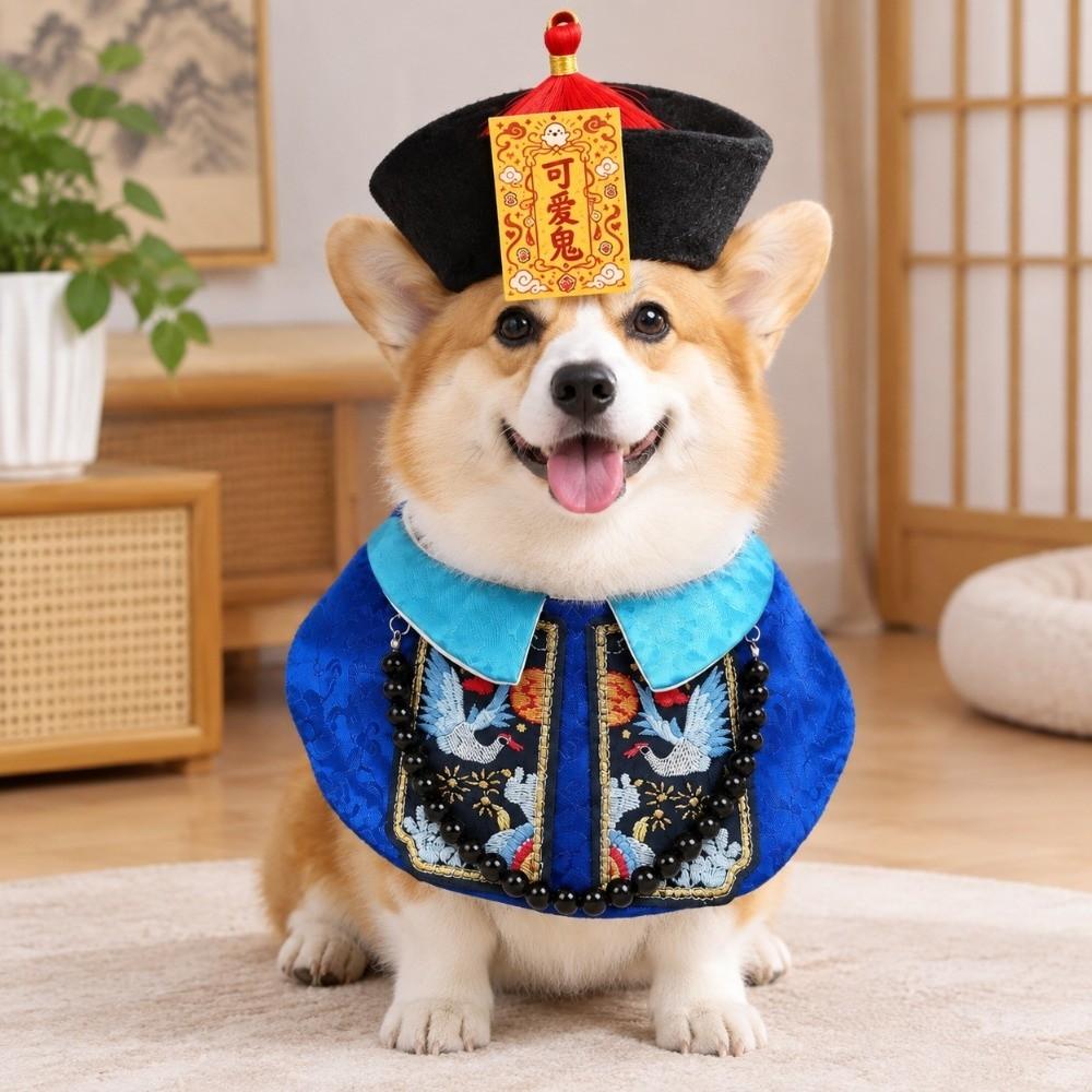 Funny Dog Clothes Chinese Style Pet Zombie Clothes Pet Supplies Halloween Pet Costume Halloween