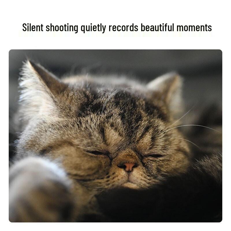 Nikon Z 6II Full-Frame Mirrorless Camera (CN version)