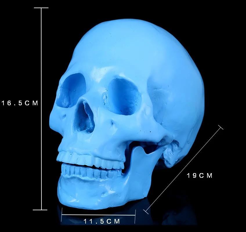 Resin Craft Skull Statues for Decoration Creative Skull Model Sculpture Home Decoration Halloween Party Decor Horror Props
