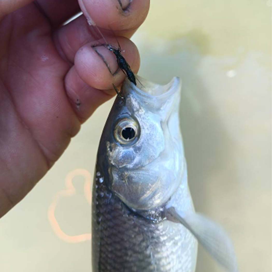 Набор мушек для ловли нахлыстом — фото 6