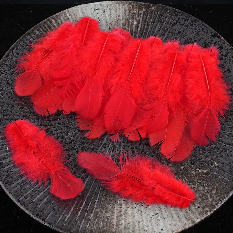 Mixed Color Chicken & Peacock Feathers for DIY Ornaments, Handicrafts, and Handmade Clothing Accessories.