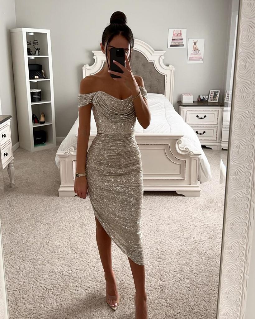 Frühlings- und Herbst-Neues Paillettenkleid, lässiges Mode-Party-Reißverschluss-Damenkleid