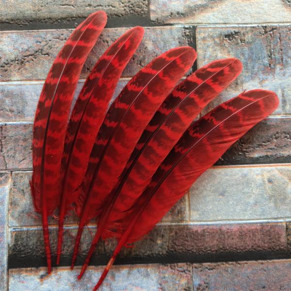 10 Pcs Beautiful High Quality 10-15cm/4-6inches Natural Pheasant Feathers 11 Colors Optional DIY Decorative