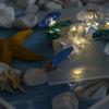 Mixed Light Seahorse Seashell Ocean Theme Birthday Led Light String Lamp Night Light String Lights