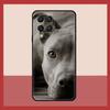 Pit Bull Lovely Dog Pitbull Case For Samsung Galaxy M52 M32 M53 M16 M11 M21 M31 M35 M12 M13 M14 M15 M36 M56 M55 M34 M54