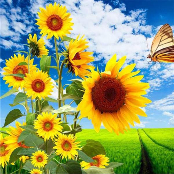 Полный круглый алмаз картина подсолнух горный хрусталь комплект Алмазная вышивка цветок Алмазная мозаика ремесленный домашний декор Full Round 20x20CM