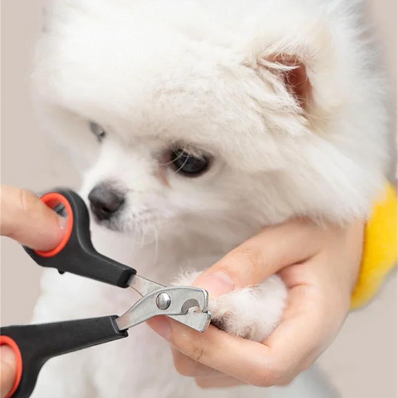 Nail Lime Nails Dog Nail Clippers For Cats Paw Rabbit Pet Dog Grooming Equipment Bird Parrot Hair Dogs Pet Products Tool Things